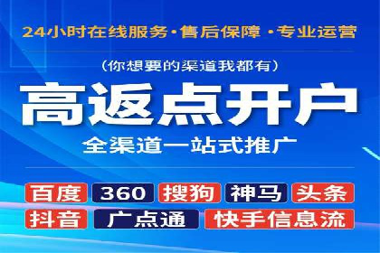 关键词竞价排名策略案例分析